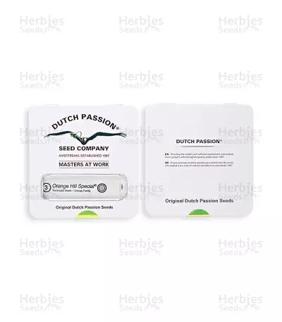 Orange Hill Special feminized seeds