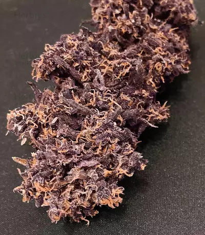 Grandaddy Purple Fast Version