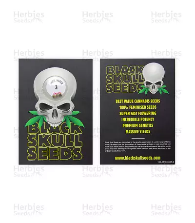 Jack Herer (Blackskull Seeds)
