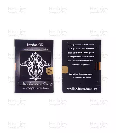 London OG feminized seeds