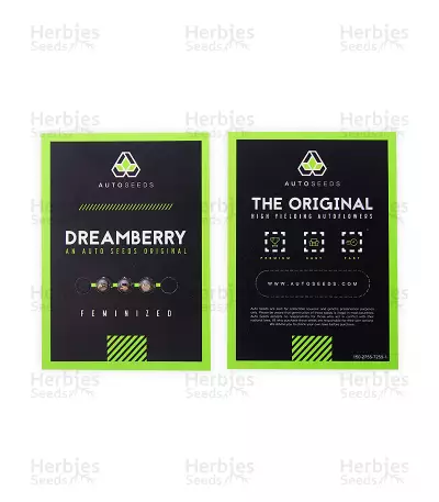Dreamberry Seeds