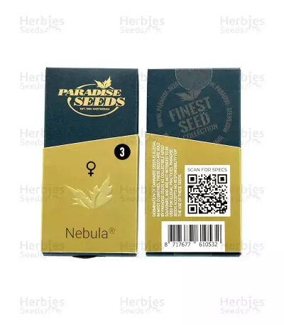 Nebula Seeds