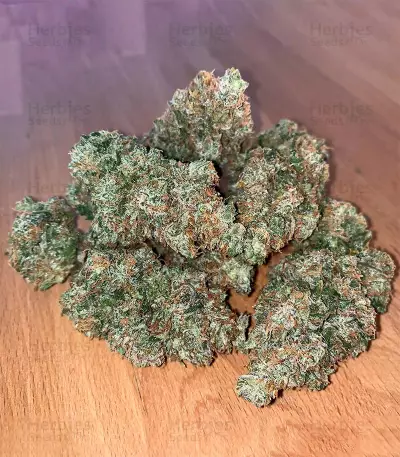 Wedding Cake Autoflower (Herbies Seeds)