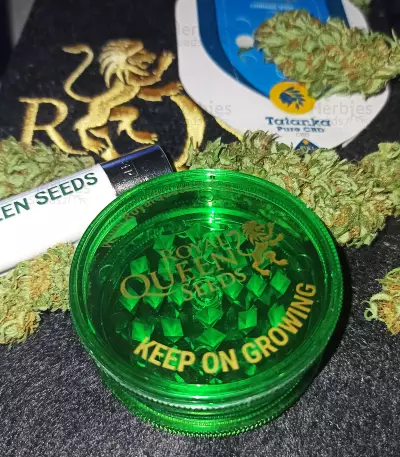 Tatanka Pure CBD feminized seeds (Royal Queen Seeds)