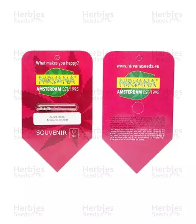 Aurora Indica strain seeds