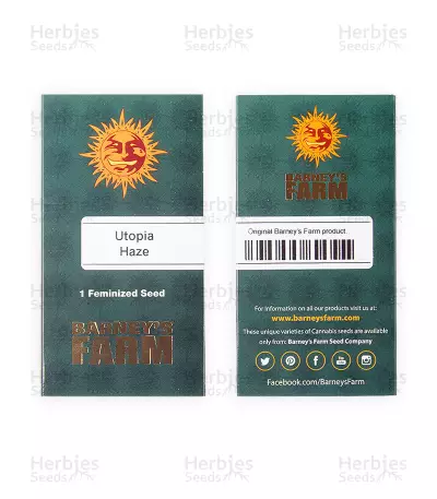 Utopia Haze feminized seeds