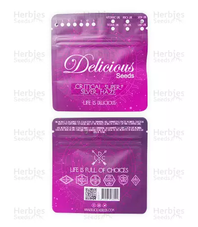 Semi femminizzati Critical Super Silver Haze