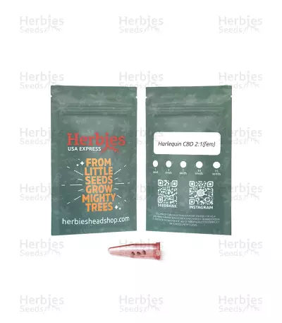 Harlequin CBD 2:1 Feminized Seeds (Herbies Seeds USA)