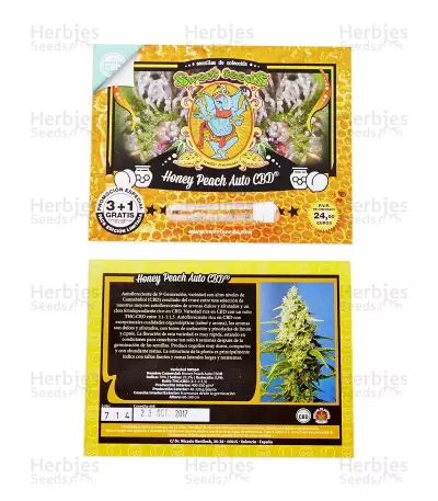 Graines de cannabis Honey Peach Auto CBD (Sweet Seeds)