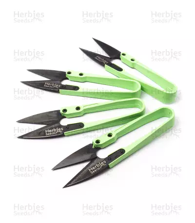 Pruning Shears