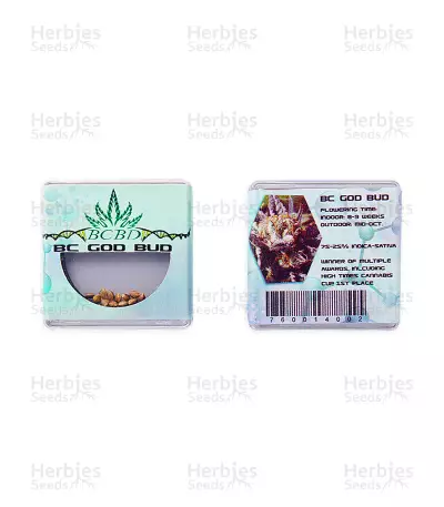 BC God Bud Seeds