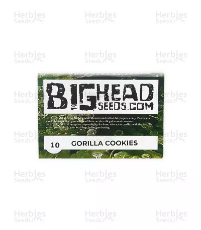 Graines féminisées de Gorilla Cookies (Big Head Seeds)