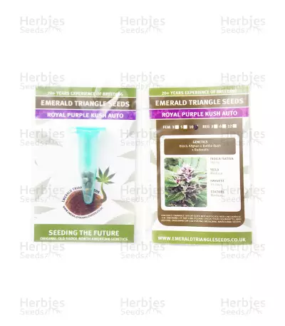 Royal Purple Kush Auto (Emerald Triangle Seeds) Cannabis-Samen