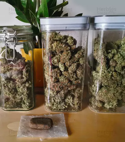 Amnesia Lemon Kush Seeds (Original Sensible Seeds)