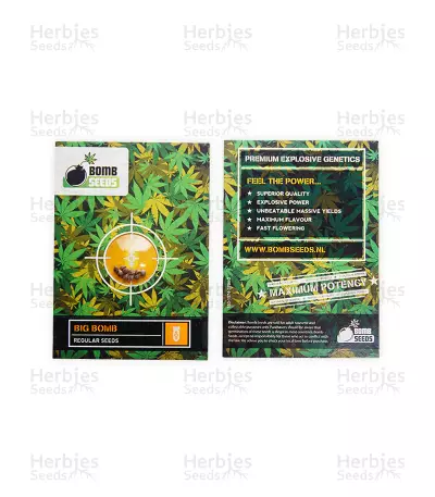 Big Bomb regular (Bomb Seeds)