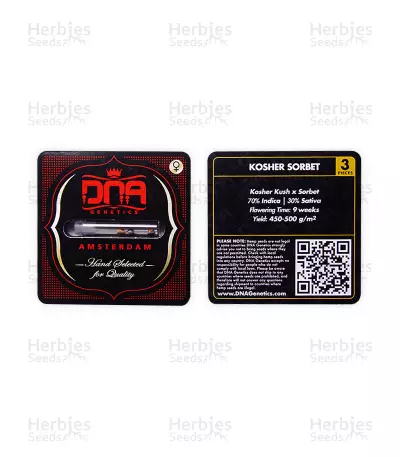 Kosher Sorbet (DNA Genetics)