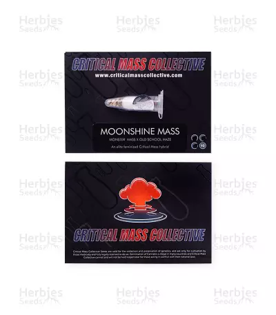 Moonshine Mass feminized seeds