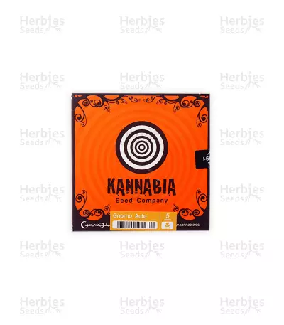 Graines de cannabis Gnomo Auto (Kannabia Seeds)