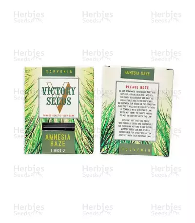 Amnesia Haze (Victory Seeds)