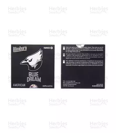 Blue Dream Seeds (Blimburn Seeds)