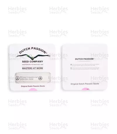 CBD Auto Compassion Lime Seeds