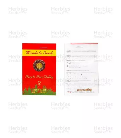 Graines de cannabis Purple Paro Valley (Mandala Seeds)