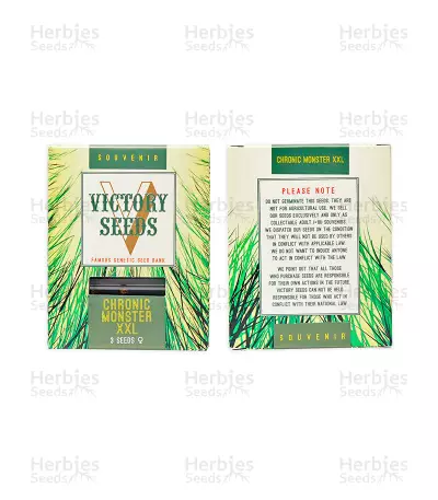 Auto Original Berry Seeds