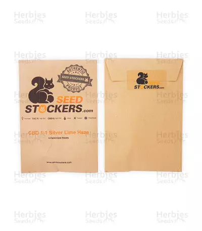 CBD 1:1 Silver Lime Haze feminized seeds