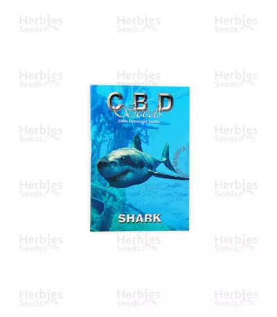 Shark feminized seeds (CBD Seeds)