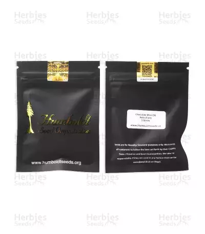 Chocolate Mint OG Seeds