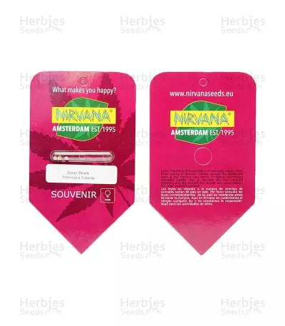 Super Skunk feminized seeds (Nirvana Seeds)