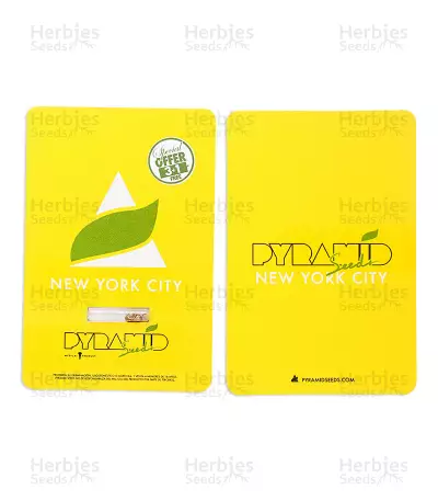 New York City Seeds
