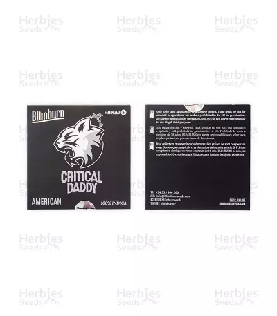 Graines de cannabis Critical Daddy (BlimBurn Seeds)
