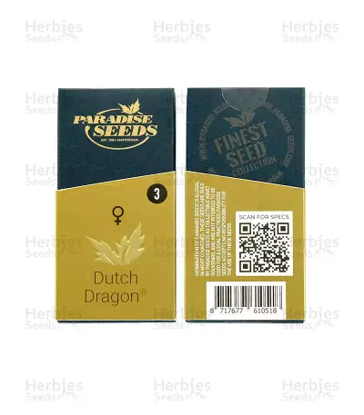 Dutch Dragon (Paradise Seeds)