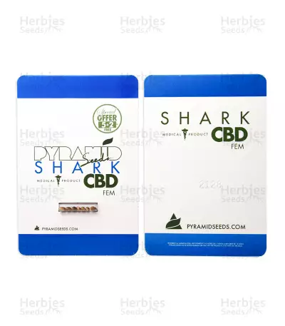 Graines de cannabis Shark CBD (Pyramid Seeds)