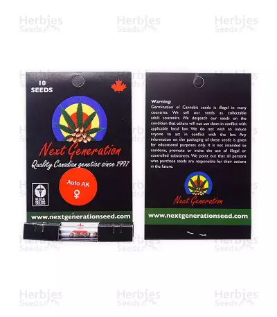 Auto AK feminized seeds (Next Generation Seeds)