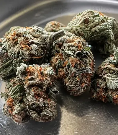 Biscotti Auto Seeds (Green House Seeds)