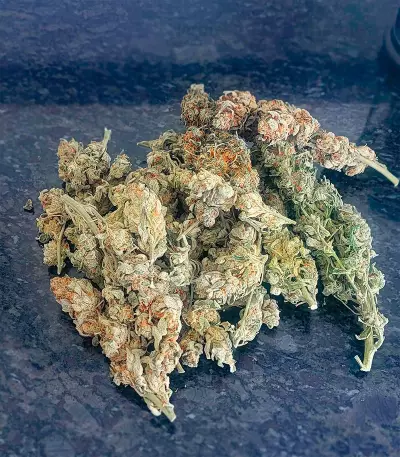 NY Diesel Autoflower (Herbies Seeds)