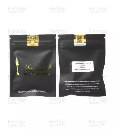 Chocolate Mint OG Seeds