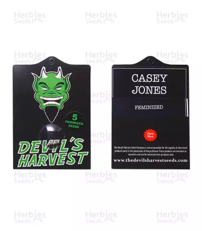 Casey Jones (Devils Harvest Seeds)