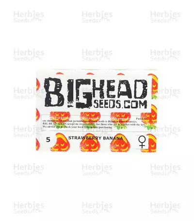 Strawberry Banana feminized seeds