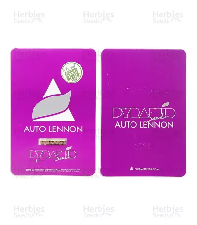Auto Lennon feminized seeds