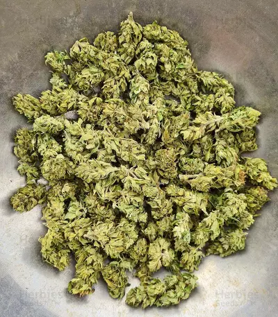 Pumpkin Kush Seeds