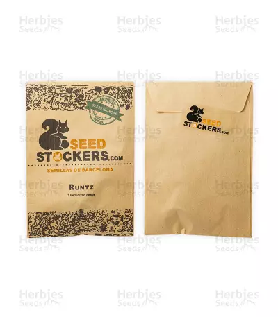 Runtz (Seedstockers)