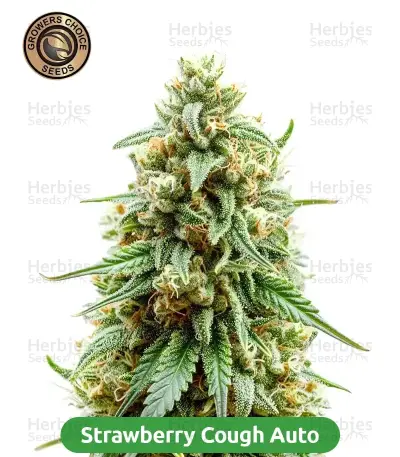 Autopilot Harvest Bundle #3