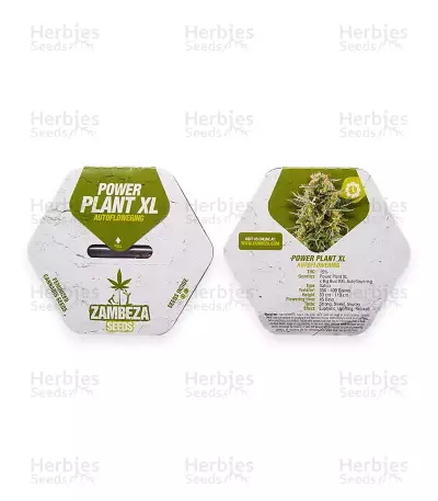 Power Plant XL Seeds