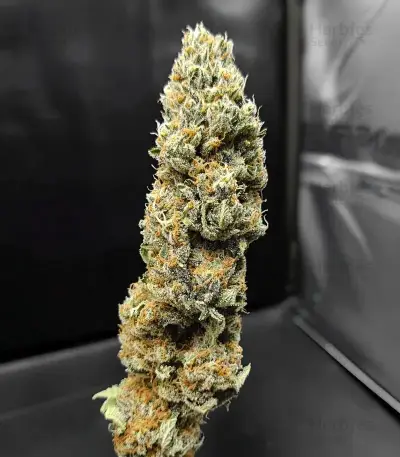 White Runtz Seeds