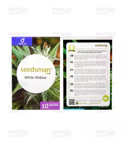 White Widow regular seeds (Seedsman)
