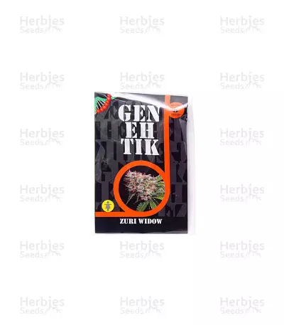 Zuri Widow feminized seeds
