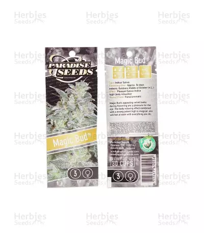 Magic Bud feminized seeds